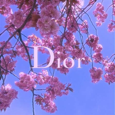 dior cherry blossom.